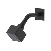 Riobel Pro 3" 3-Function Showerhead With Arm P348 in Black