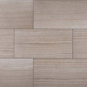 MSI Eramosa Silver 12 x 24 Matte Porcelain tile (NERASIL1224) – MSI product image