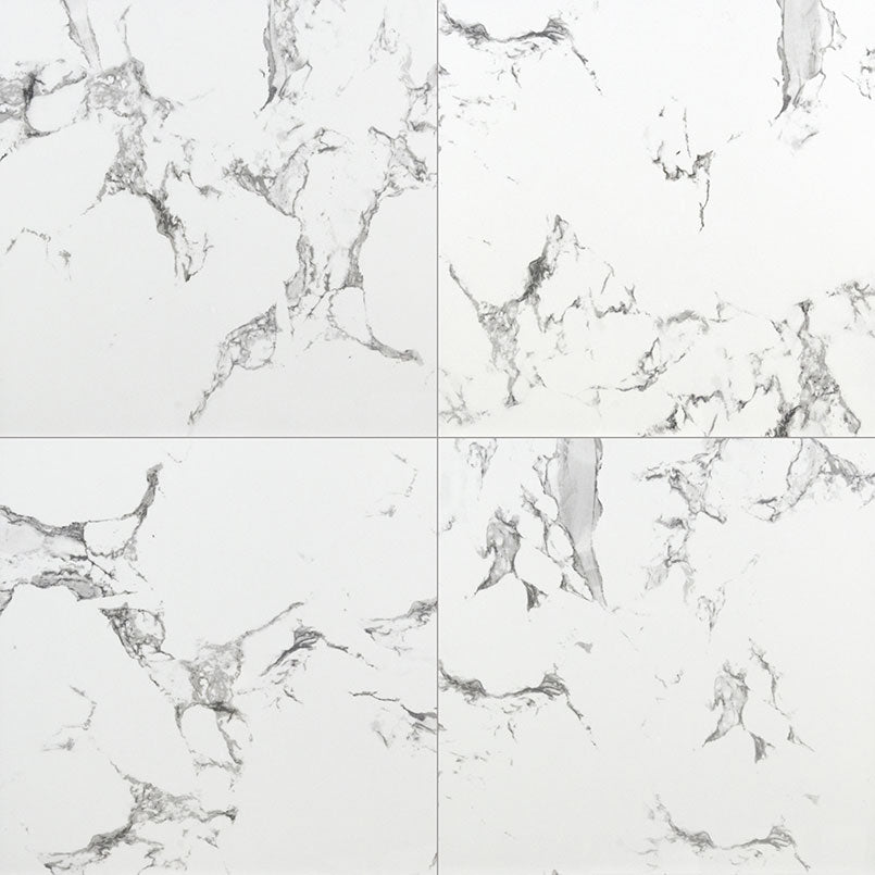 MSI Pietra Statuario 24 x 24 Matte Porcelain tile (NSTA2424-N) – MSI product image