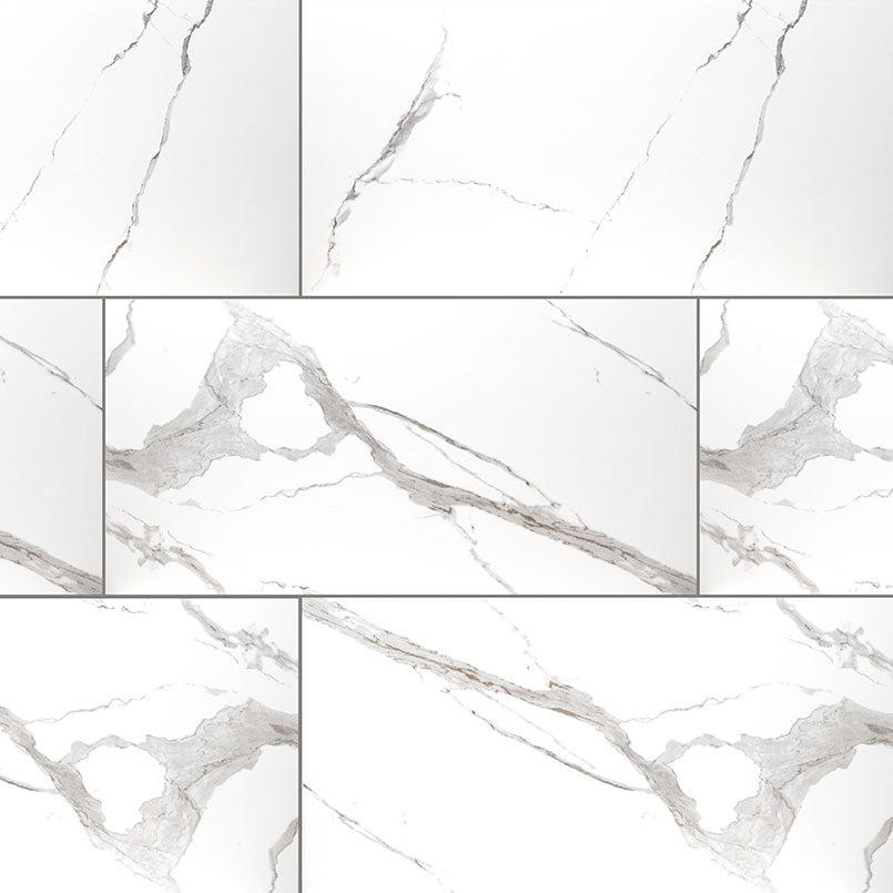 MSI Eden Statuary 12 x 24 Polished Porcelain tile (NEDESTA1224P) – MSI product image