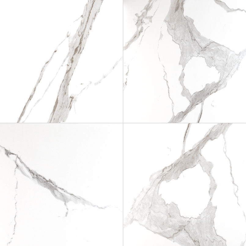 MSI Eden Statuary 24 x 24 Matte Porcelain tile (NEDESTA2424) – MSI product image