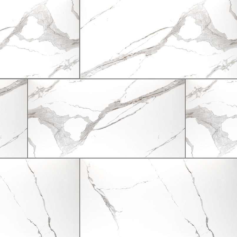 MSI Eden Statuary 24 x 48 Matte Porcelain tile (NEDESTA2448) – MSI product image