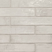 MSI Stella Rhino 2 x 10 Glossy Porcelain tile (NSTERHI2X10G) – MSI product image