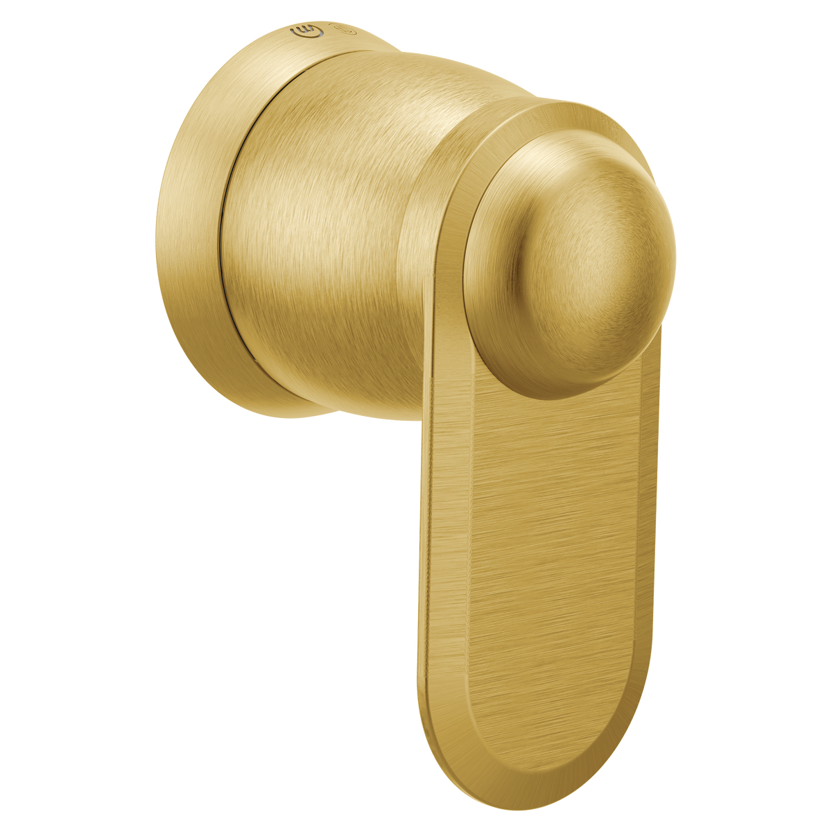 Moen Greenfield Volume Control T4402 in Brushed Gold (T4402BG)