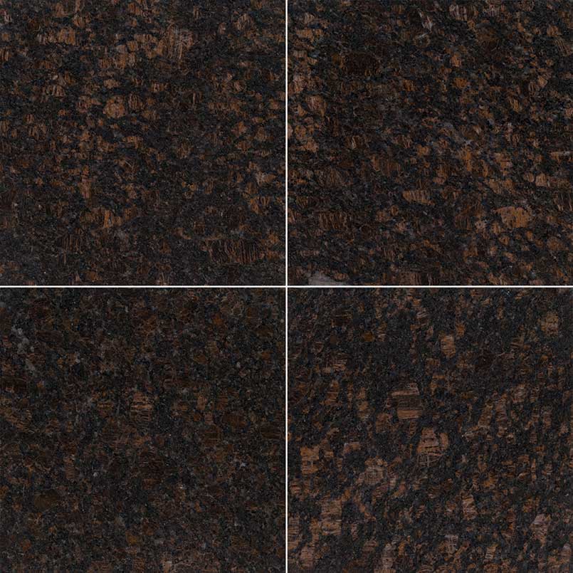 MSI Tan Brown 12 x 12 Polished Granite tile (TTANBRN1212) – MSI product image