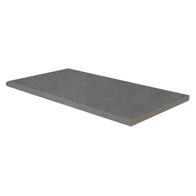 MSI True Bluestone 13 x 24 Matte Porcelain pool coping (LCOPNTRUBLU1324-EE) – MSI product image