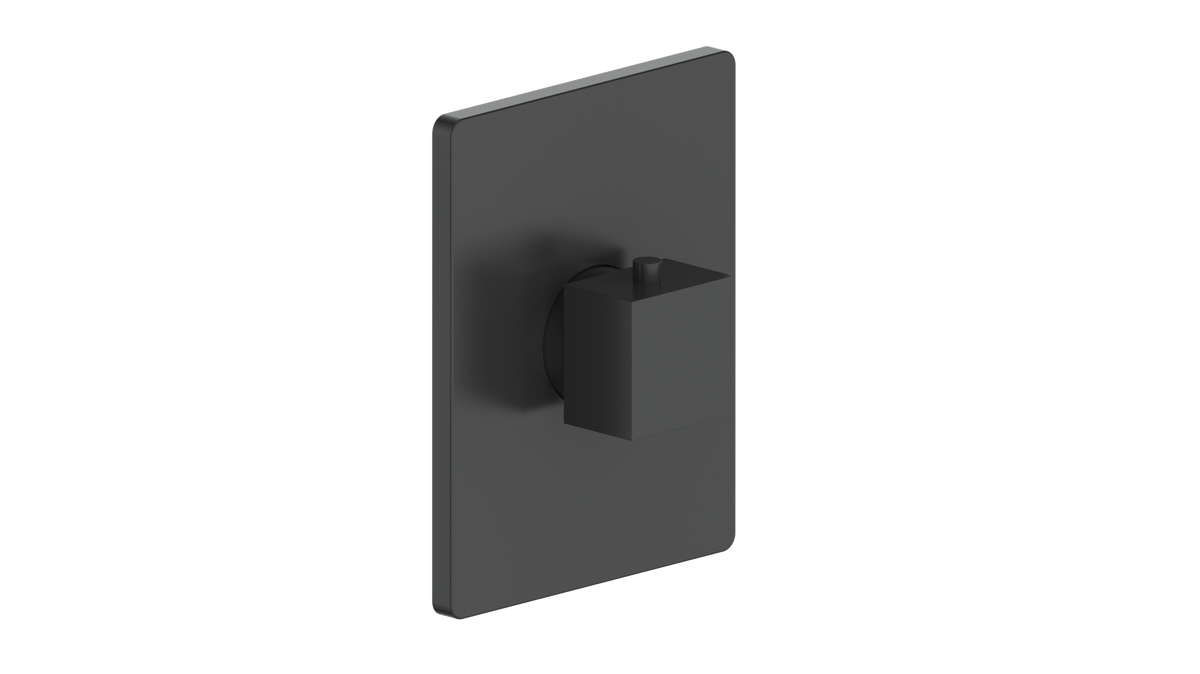 Vogt Kapfenberg Trim for 3/4" TH Valve - Matte Black