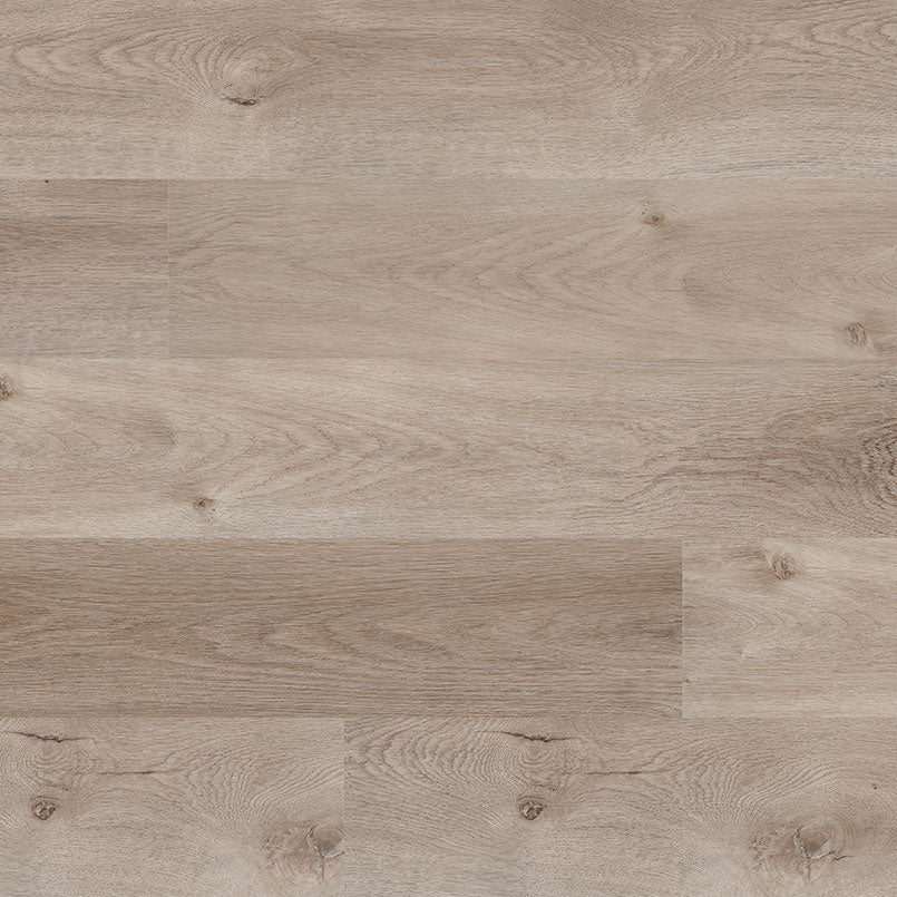 MSI XL Prescott Whitfield Gray luxury vinyl plank 9 x 60 (VTRXLWHTG9X60-6.5MM-20MIL)