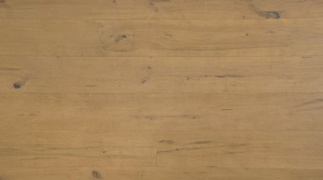 Grandeur Hardwood Flooring Divine Collection Taurus Maple (Engineered Hardwood) Grandeur Hardwood Flooring