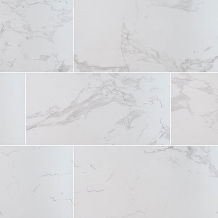 MSI Surfaces Tile Praia Carrara 24x48 Matte MSI Surfaces